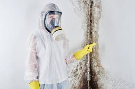 Biohazard Mold Removal in Fernandina Beach, FL